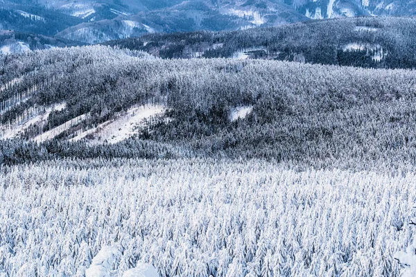 Vacker Vinter Utsikt Över Dalen Från Jested Och Solnedgång — Stockfoto