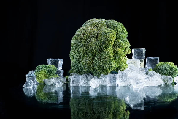 Brócolis Sobre Fundo Preto Com Cubos Gelo Gelo Picado — Fotografia de Stock