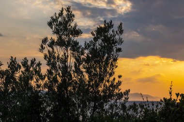 Hırvatistan 'da, Drvenik kasabasında gün batımı