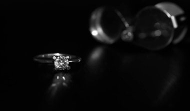 Mücevher, bir elmas yüzük, bir nişan yüzüğü ya da popüler bir alyanstır..