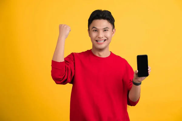 Fiatal Mosolygós Boldog Ember Mobiltelefonnal Nem Győztes Gesztus Szorító Ököl — Stock Fotó