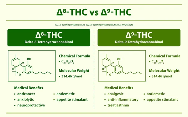 Thc Cbn Delta Tetrahidrokannabinol Delta Tetrahidrokannabinol Horizontális Infografikus Illusztráció Kannabisz — Stock Vector