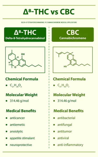 Thc Cbc Delta Tetrahydrobachrobabinol Cannabichromene Вертикальная Инфографическая Иллюстрация Каннабисе Травяной — стоковый вектор