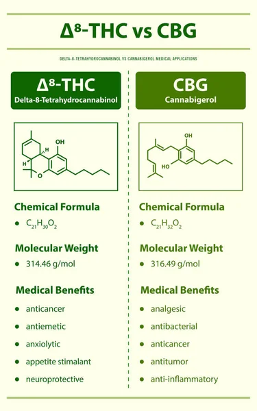 Thc Cbg Delta Tetrahydrocannabinol Cannabigerol Vertical Infographic Illustration Cannabis Herbal — Stock Vector