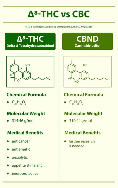 Thc Cbnd Delta Tetrahydrocannabinol Cannabinodiol Vertikale Infografische Darstellung Über Cannabis — Stockvektor