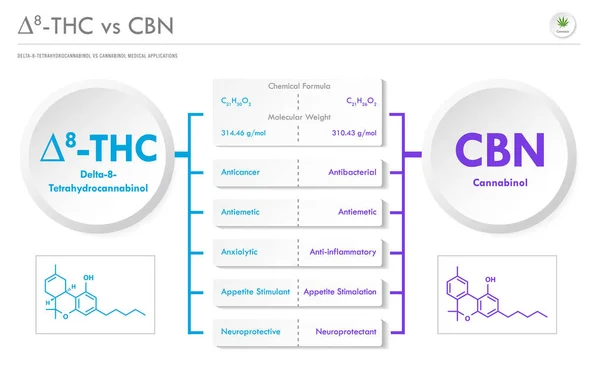 Thc Cbn Delta Tetraidrocannabinolo Cannabinol Illustrazione Infografica Orizzontale Aziendale Sulla — Vettoriale Stock