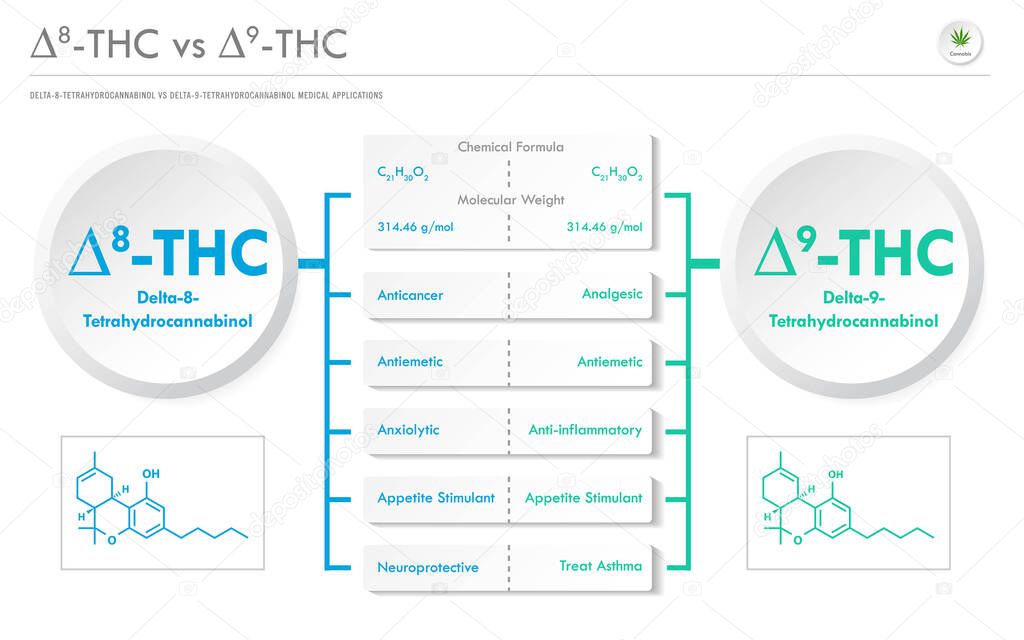 8 THC vs 9 THC, Delta 8 Tetrahydrocannabinol vs Delta 9 Tetrahydrocannabinol horizontal business infographic illustration about cannabis as herbal alternative medicine and chemical therapy, healthcare and medical science vector.