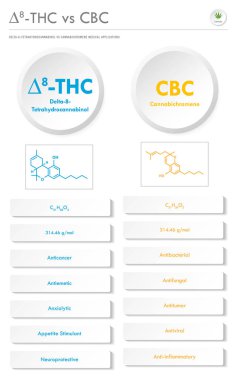 8 THC vs CBC, Delta 8 Tetrahydrocannabinol vs Cannabichromene dikey iş bilgisine karşı bitkisel alternatif tıp ve kimyasal terapi, sağlık ve tıbbi bilim vektörü olarak kenevir hakkında bilgi.