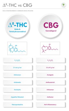 8 THC vs CBG, Delta 8 Tetrahydrocannabinol vs Cannabigerol dikey iş bilgisine karşı bitkisel alternatif tıp ve kimyasal terapi, sağlık ve tıbbi bilim vektörü olarak kenevir hakkında bilgi.