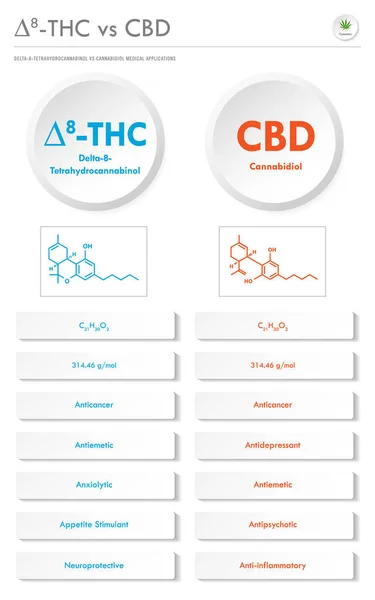 Thc Cbd Delta Tetrahydrocannabinol Cannabidiol Vertikale Geschäftliche Infografik Über Cannabis — Stockvektor