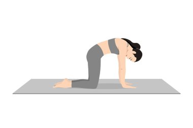 Cat Poose, güzel kız Marjaryasana antrenmanı yapıyor. Yoga egzersizi yapan çekici genç bir kadın. Spor giyinmiş, spor giyinmiş, gri pantolonlu, üstsüz, uzun boylu, sakin ve rahat..