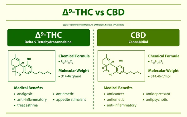 Thc Cbd Delta Tetrahydrocannabinol Cannabidiol Horizontális Infografikai Illusztráció Kannabisz Mint — Stock Vector