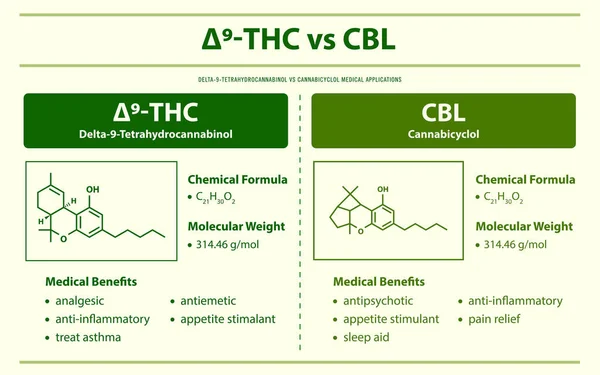 Thc Cbl Delta Tetrahydrocannabinol Cannabicyclol Horizontale Infografische Illustration Über Cannabis — Stockvektor
