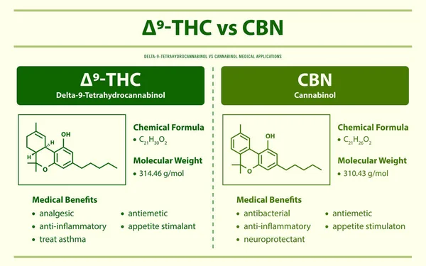 Thc Cbn Delta Tetrahydrocannabinol Cannabinol Οριζόντια Πληροφοριακή Απεικόνιση Για Την — Διανυσματικό Αρχείο