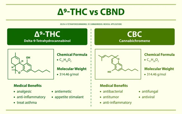 Thc Cbg Delta Tetrahydrocannabinol Cannabigerol Horizontale Infografische Illustration Über Cannabis — Stockvektor