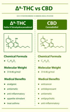 9 THC vs CBD, Delta 9 Tetrahydrocannabinol vs Cannabidiol dikey bilgi paylaşımı bitkisel alternatif tıp ve kimyasal terapi, sağlık ve tıbbi bilim vektörü olarak kenevir hakkında.