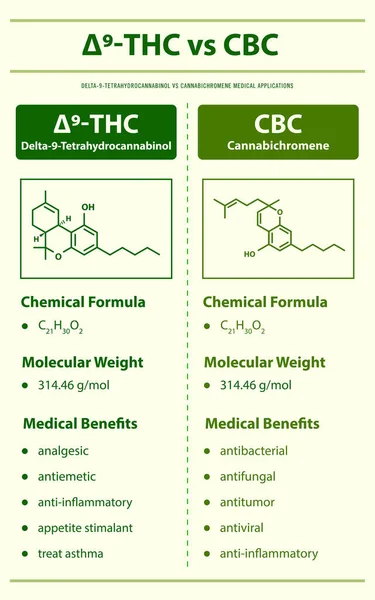 Thc Cbc Delta Tetrahidrocanabinol Cannabichromene Ilustração Infográfica Vertical Sobre Cannabis —  Vetores de Stock