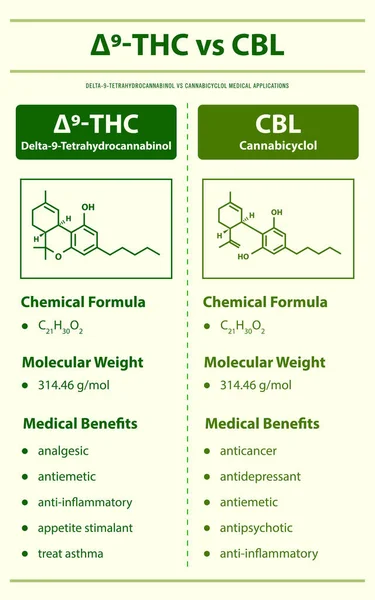 Thc Cbl Delta Tetrahidrocanabinol Cannabicyclol Ilustração Infográfica Vertical Sobre Cannabis —  Vetores de Stock