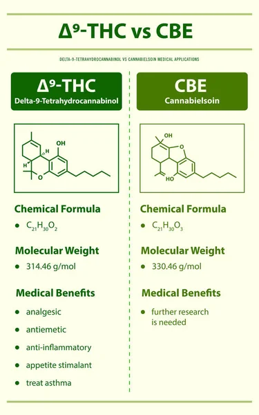 Thc Cbe Delta Tetrahidrocannabinol Cannabielsoin Ilustración Infográfica Vertical Sobre Cannabis — Archivo Imágenes Vectoriales