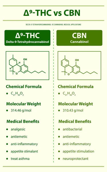 Thc Cbn Delta Tetrahidrocannabinol Cannabinol Ilustración Vertical Infografía Sobre Cannabis — Archivo Imágenes Vectoriales