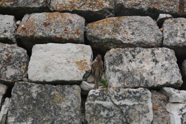 Serçe Hüseyin Bey 'in anıtmezarının taş duvarında yaşıyor..