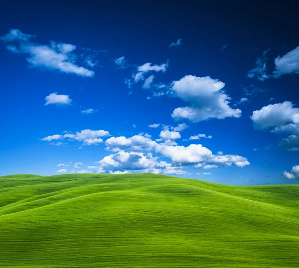 Green grass and blue sky background — Stock Photo, Image