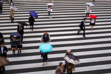 zebra kapısı üzerinde kişi