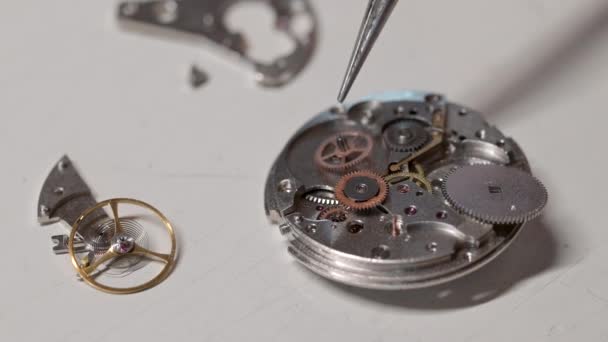 Meccanismo interno di un orologio — Video Stock