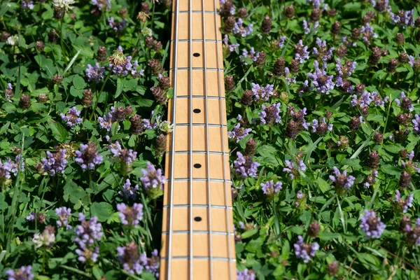 Details White Electric Bass Guitar Grass — Stockfoto