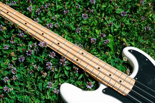 Çimlerin üzerinde beyaz elektro gitar ayrıntıları..