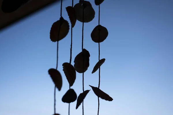 Silhouette Dream Catcher Made Seashells Blue Sky — Stock Photo, Image