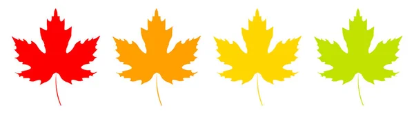 Maple Leaf Icons Graphic Design Template Vector Illustration — Stockvector