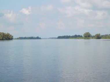 biesbosh doğal park ana kanallarında martılar