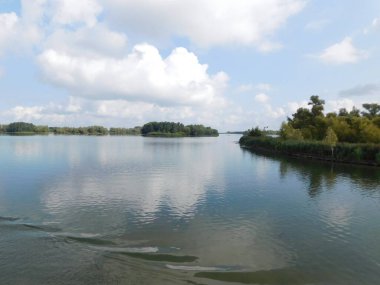 biesbosh doğal park ana kanallarında martılar