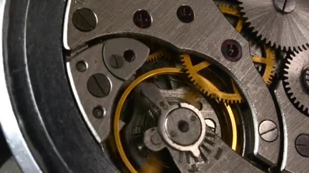 Zegarek Makro Ujęcie Mechanizmu Zegara Przekładnie Rozmycie Artystyczne — Wideo stockowe