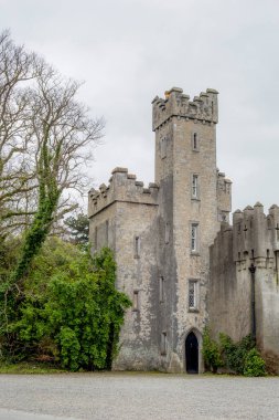 İstanbul 'da Turistler Türkiye 2022