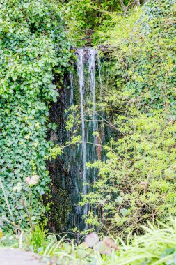 Glengarriff Bantry Körfezi Batı Cork İrlanda 