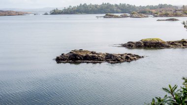 Glengarriff Bantry Körfezi Batı Cork İrlanda 