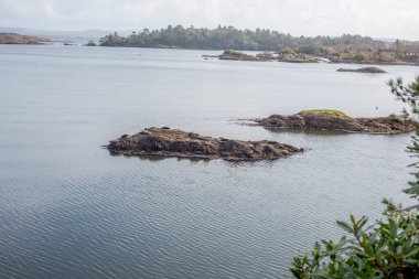 Glengarriff Bantry Körfezi Batı Cork İrlanda 