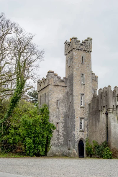 İstanbul 'da Turistler Türkiye 2022