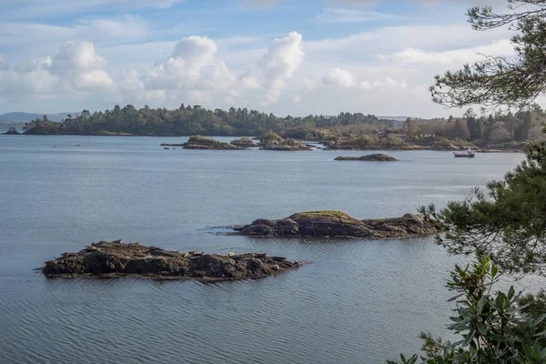 Glengarriff Bantry Körfezi Batı Cork İrlanda 