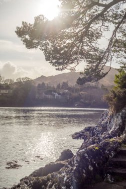 Glengarriff Bantry Körfezi Batı Cork İrlanda 