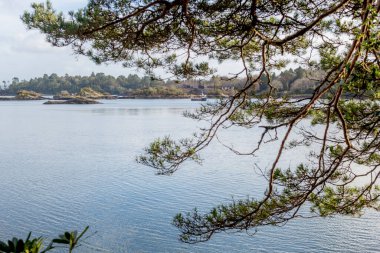 Glengarriff Bantry Körfezi Batı Cork İrlanda 