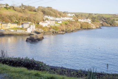Glengarriff Bantry Körfezi Batı Cork İrlanda 