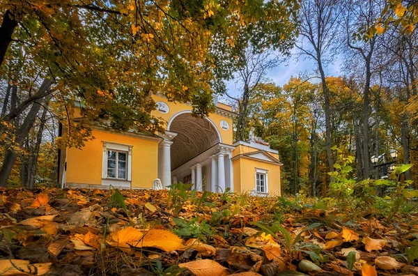 Gold autumn — Stock Photo, Image