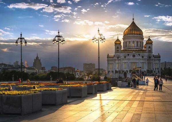 Sous les rayons patriarcaux — Photo