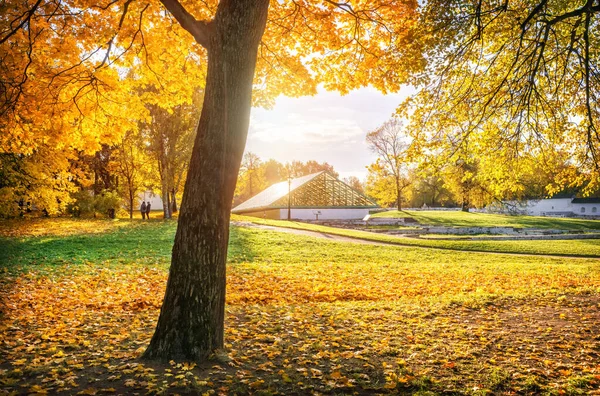 Gyllene Höst Träd Och Ett Växthus Kolomenskoye Park Moskva Höst — Stockfoto