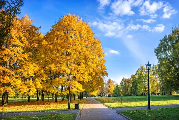 莫斯科科洛曼斯克耶公园的金秋树 秋日阳光明媚 — 图库照片