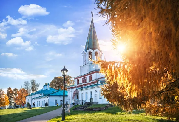 Gyllene Höst Träd Och Porten Kolomenskoye Park Moskva Höst Solig — Stockfoto