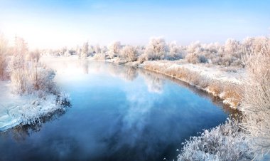 Trees on the banks of the river in white snowy frost on the banks of the river in the Moscow region on a winter sunny evening